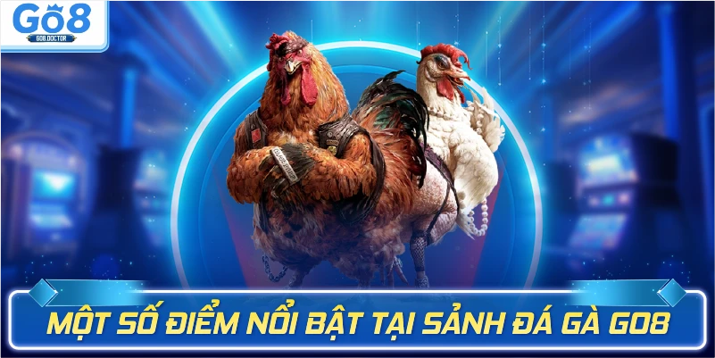 Một số điểm nổi bật tại sảnh Đá gà Go8